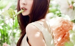 求快猫下载链接